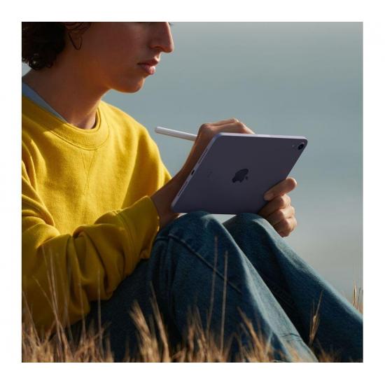 Apple iPad mini 6ª generazione (Wi-Fi, 256GB) - Grigio siderale